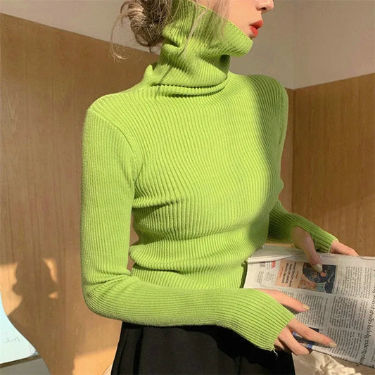 Knitted Winter Turtleneck Sweater