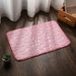 Super Absorbent Shower Mat