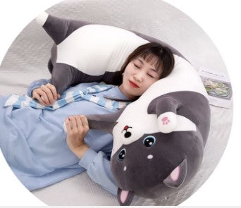 Lovely Husky Side Sleeping Body Pillow  19 inches -51 inches